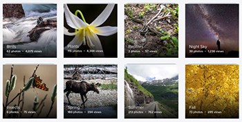 Grid of thumbnail images from park