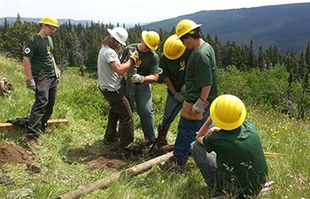 Group of youth wearing hardhats doing trail labor