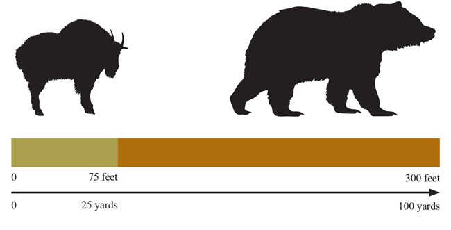 Minimum safe distances chart