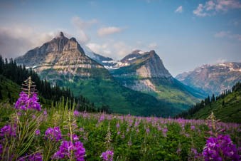 Field of flowers and a hanging valley in the mountains behind.