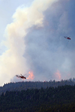 smoke and two helicopters in air over forest fire smoke and two helicopters in air over forest fire
