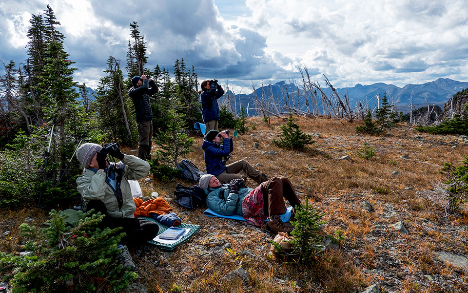 A group of citizen scientists on top of Swiftcurrent Pass watch raptors through binoculars. A group of citizen scientists on top of Swiftcurrent Pass watch raptors through binoculars.