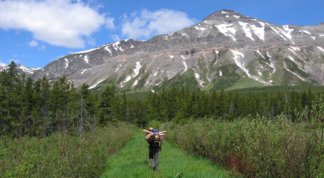 Researcher heads down grass path toward looming mountain Researcher heads down grass path toward looming mountain