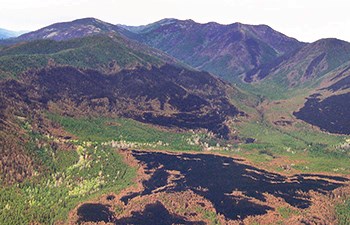 aerial view mixed dark burn and green forested areas in valley