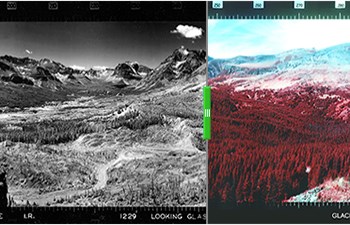 side by side landscape comparison