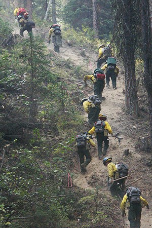 Ten firefighters with gear hike up trail Ten firefighters with gear hike up trail