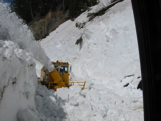Granite Creek to Alder Trail on the Going-to-the-Sun road