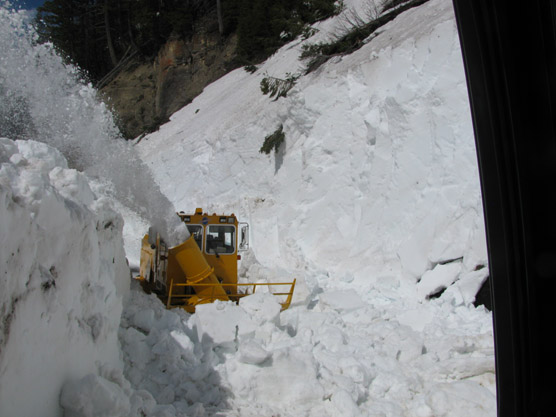 Granite Creek to Alder Trail on the Going-to-the-Sun road