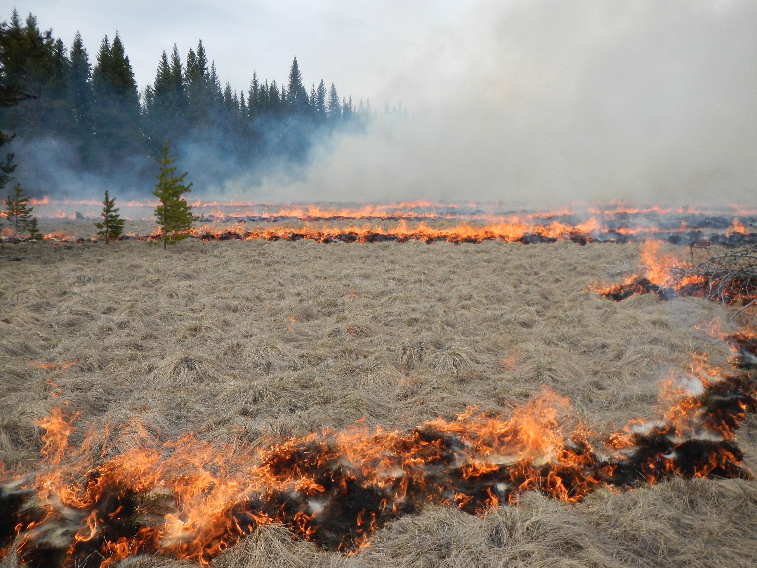 big_prairie_prescribed_burn_april2013