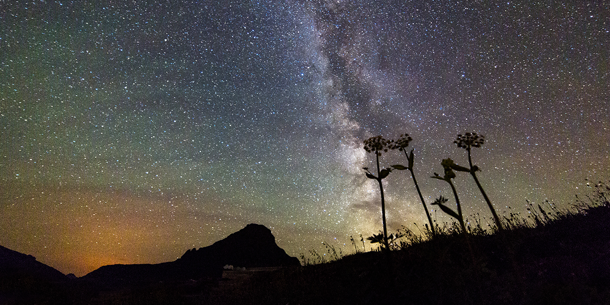Image of the night sky and the milky way from Logan Pass. Mt Reynolds rises in the background.