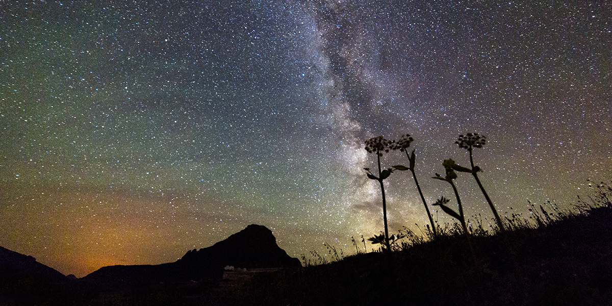 nightskyloganpass Image of the night sky and the milky way from Logan Pass. Mt Reynolds rises in the background.
