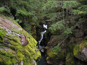 Creek cuts through mossy, rocky banks