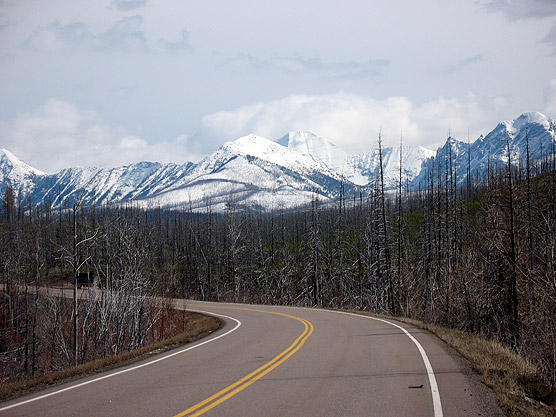 Picture of the north end of the Camas Road looking east