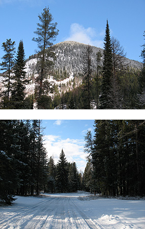Two images of snow near Headquarters area - Belton Hills and a snow-covered road.