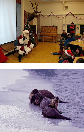 Picture of Santa and River Otters