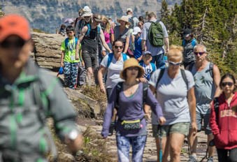 Many people surrounded by alpine trees and mountains.