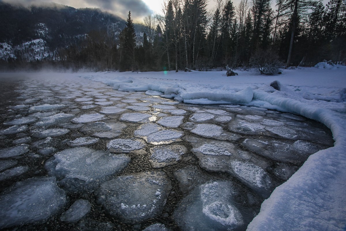 Ice chunks in a lake with trees in the background. Ice chunks in a lake with trees in the background.