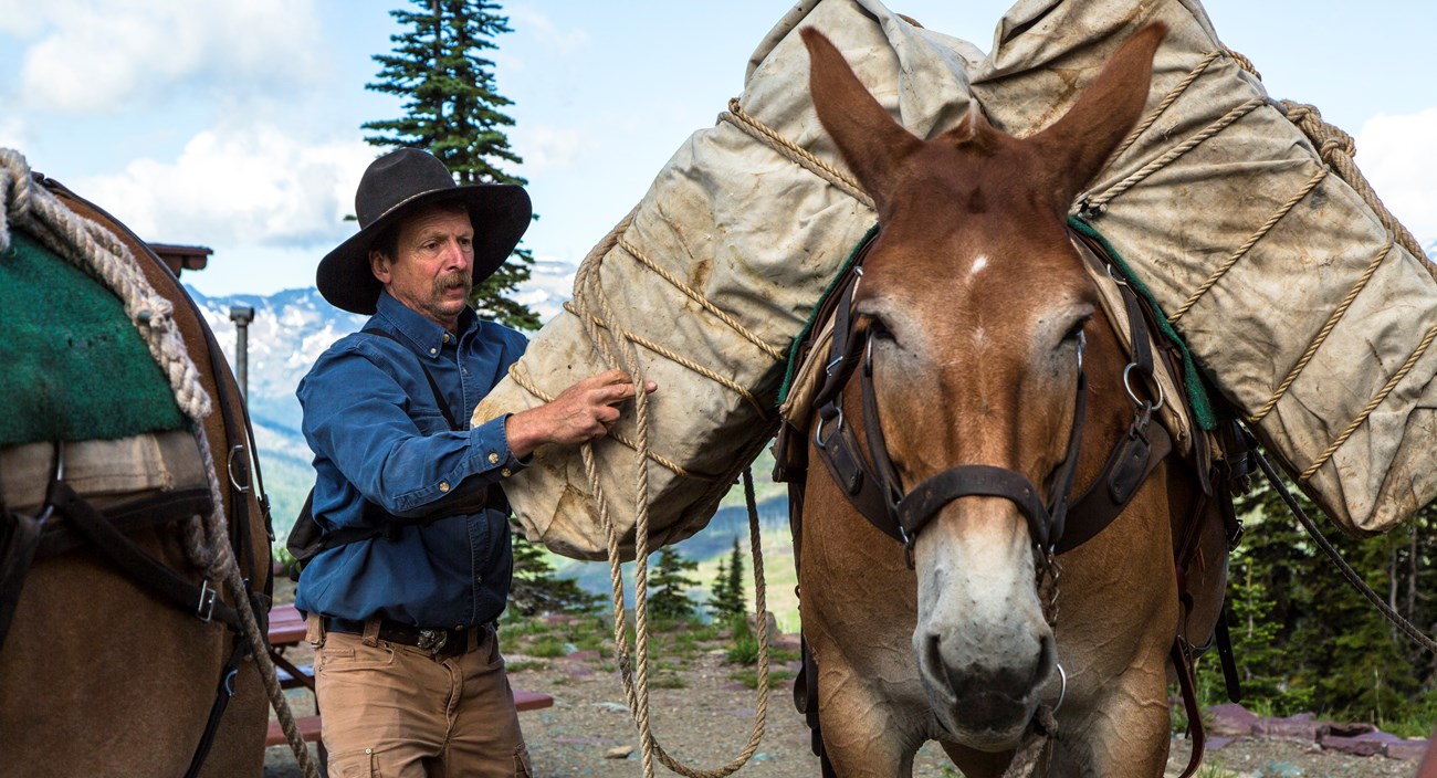 A man wearing a blue shirt and beige pants unloads a container from a mule.
