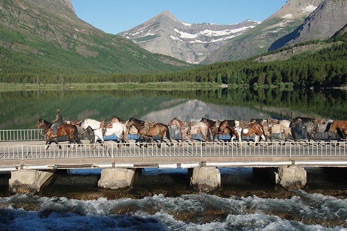 Horses on the bridge at Many Glacier