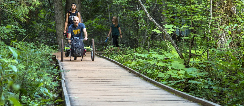 man with off-road wheelchair followed by walking visitors on boardwalk trail man with off-road wheelchair followed by walking visitors on boardwalk trail