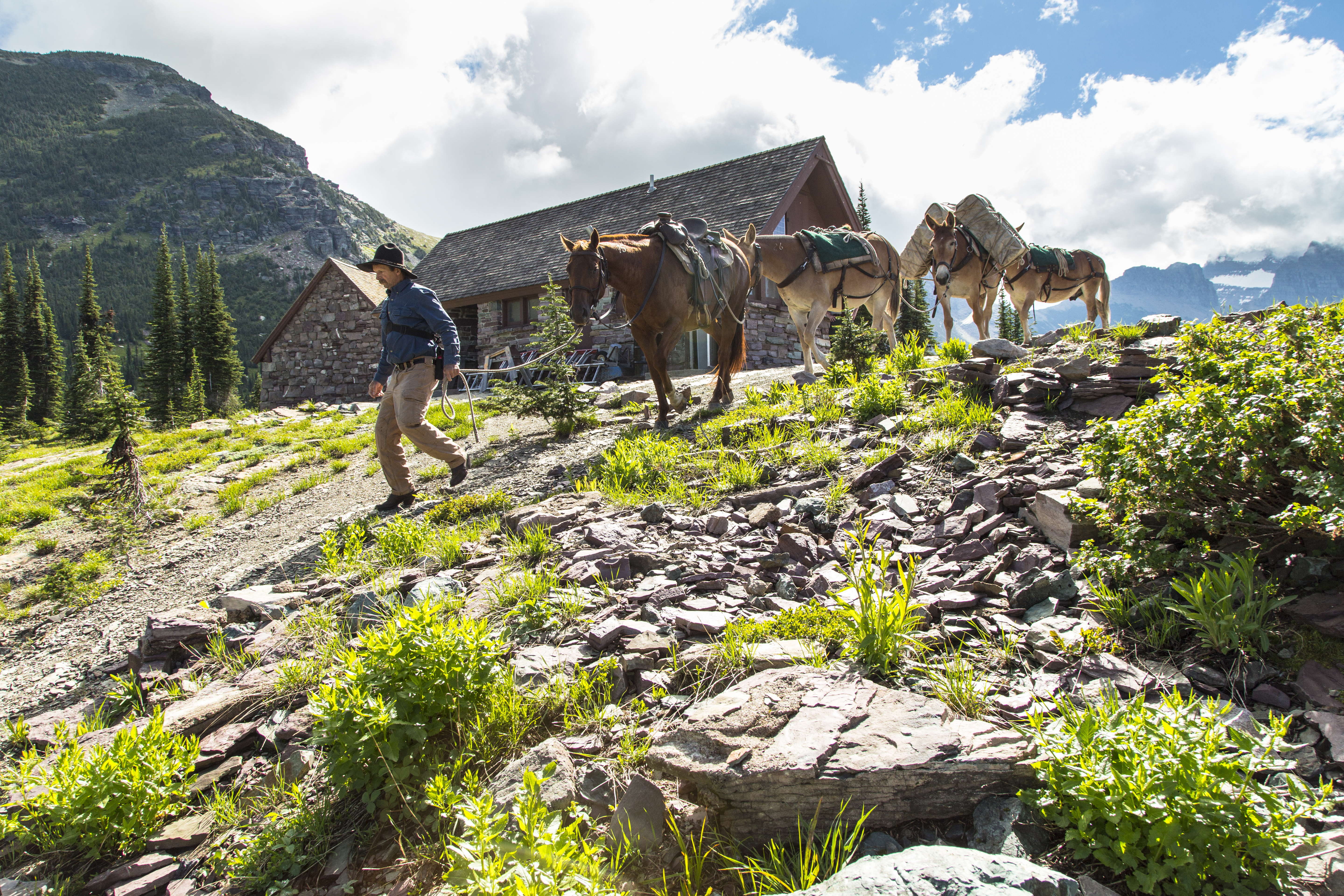 A man leads a string of pack animals down a hill away from a mountain chalet on a sunny day.