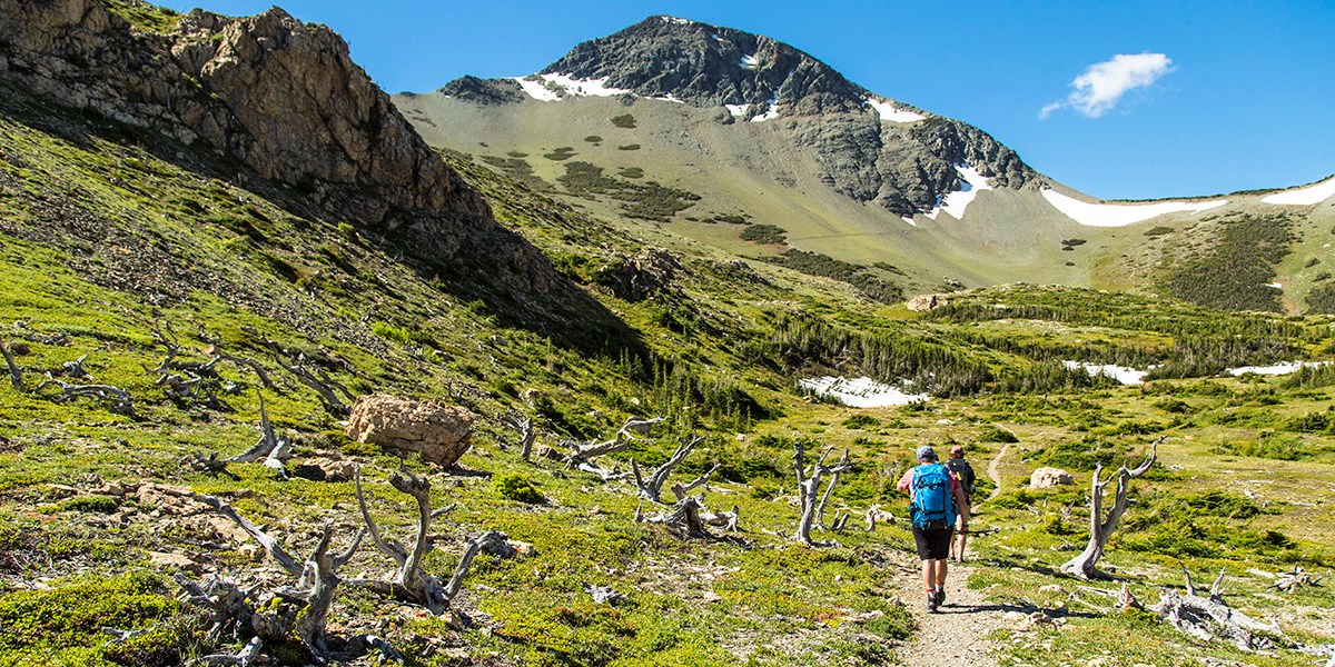Hiker on the Firebrand Pass Trail