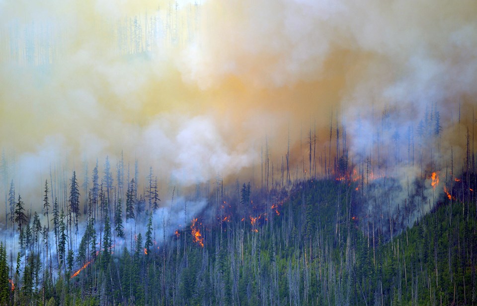 The Howe Fire burns in lodgepole pine trees The Howe Fire burns in lodgepole pine trees