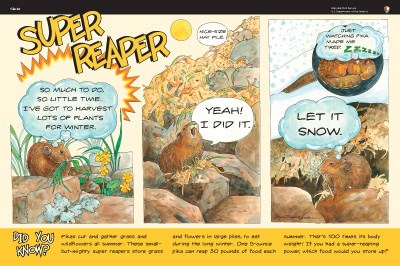 pika illustrations on Super Reaper wayside panel