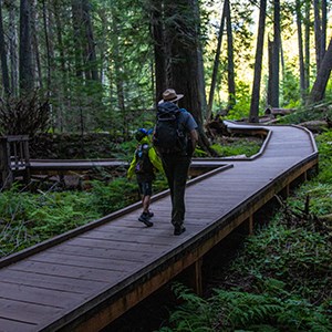 Ranger and small child walking on the Trail of the Cedars Boardwalk