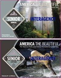 image of the two kinds of senior passes - lifetime and annual