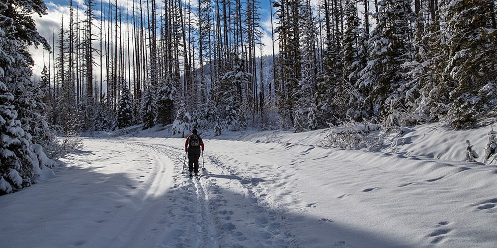 A lone skier heads up an unplowed road on cross-country skis