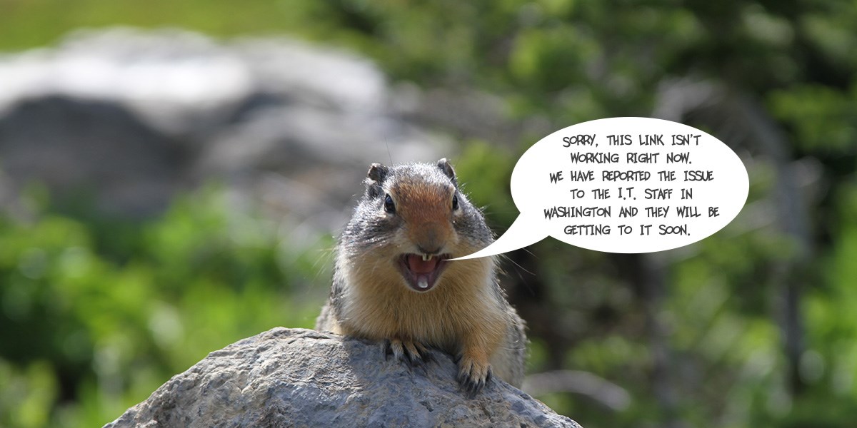 Ground Squirrel with a speech bubble explaining that this link does not work