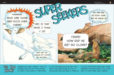 Weasel illustrations on Super Seekers wayside panel