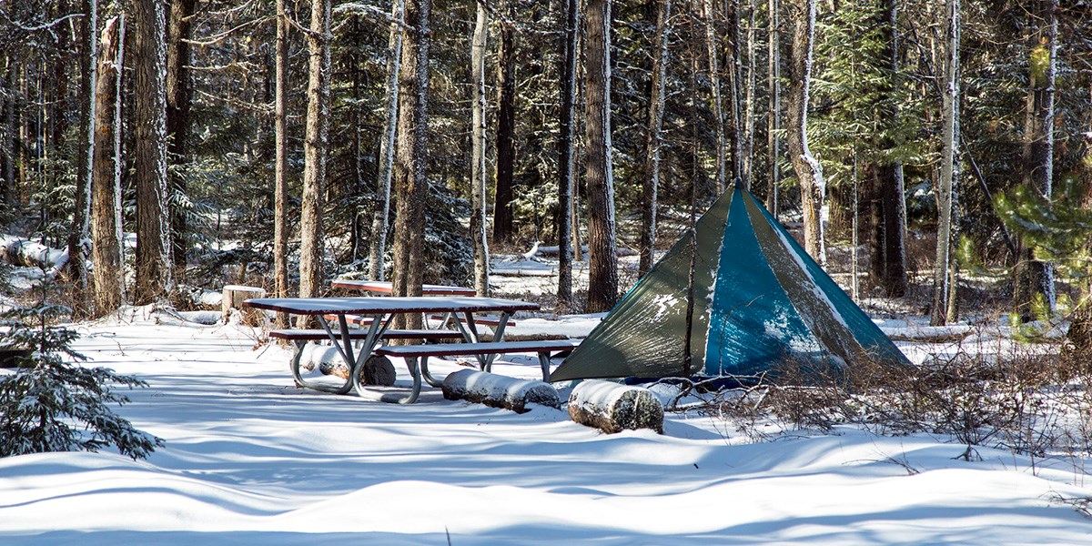 A blue and dark olive tent sits lonely and undisturbed in the Apgar Campground during the winter.