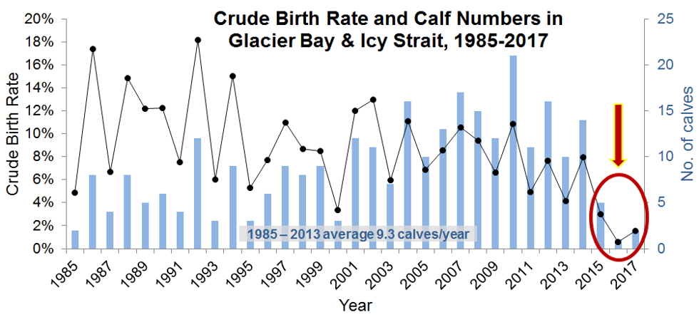 graph of humpback whale calving rate 1985-2017