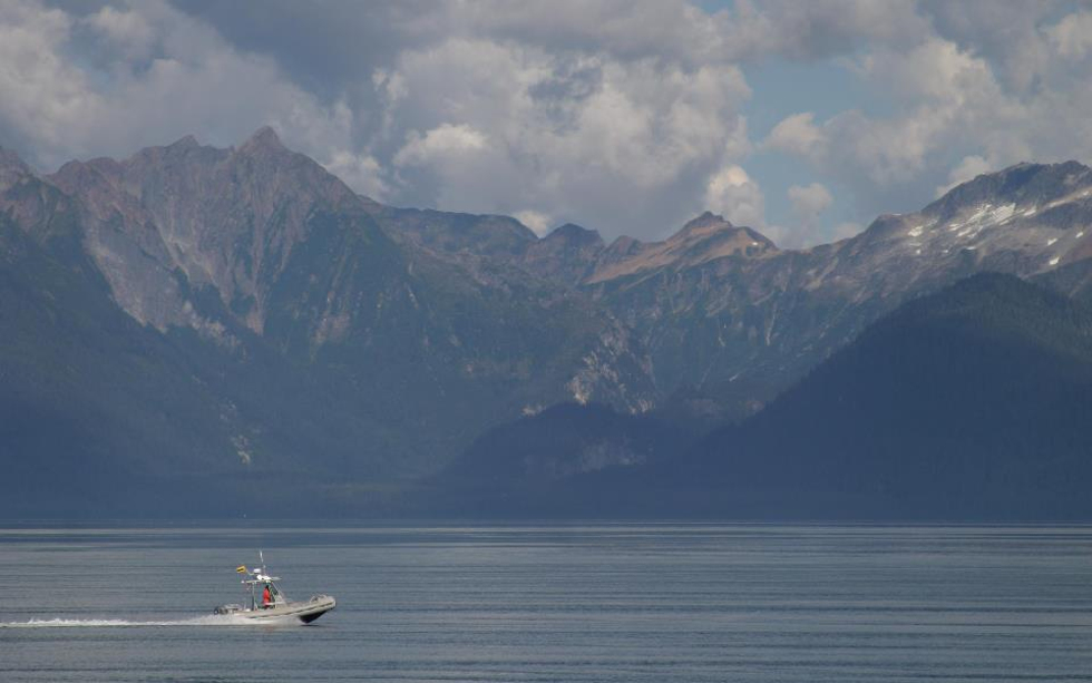 SandLance_photobySeanNeilson whale research vessel Sand Lance