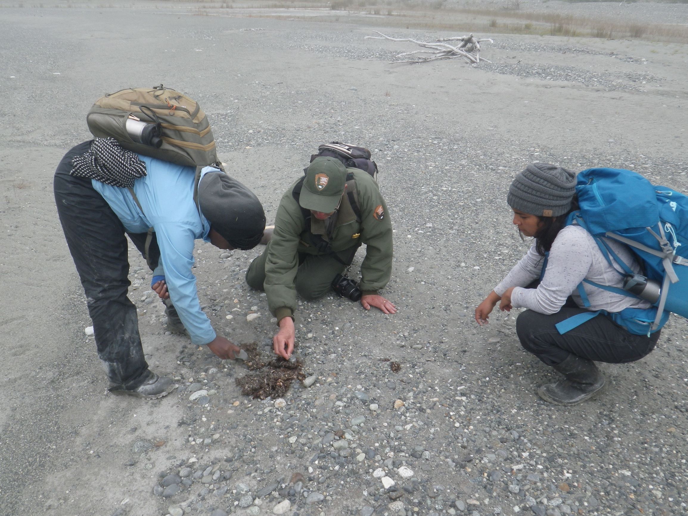 Students inspect bear scat on a beach.