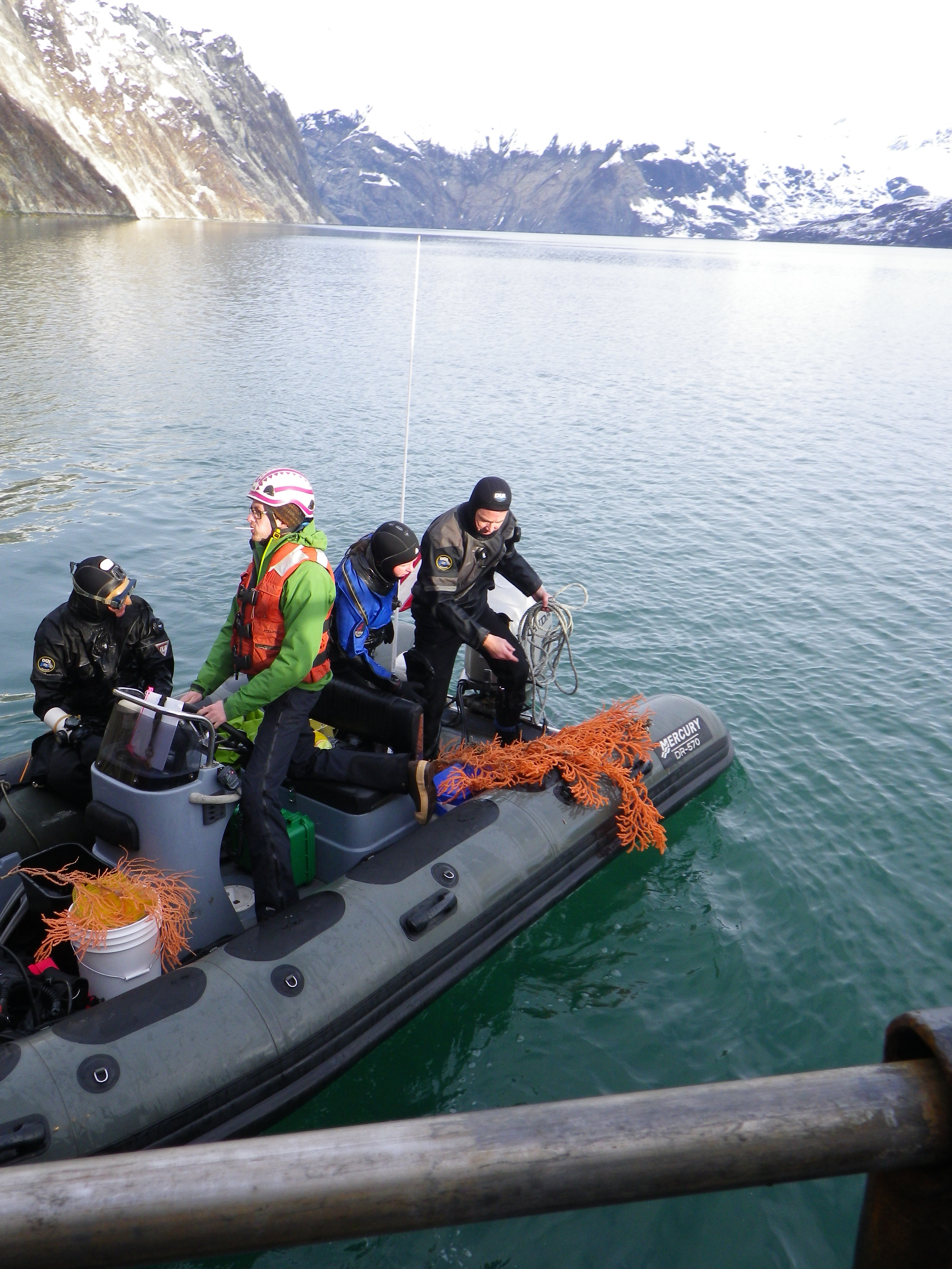 Scientists find brilliant red tree corals in Glacier Bay.