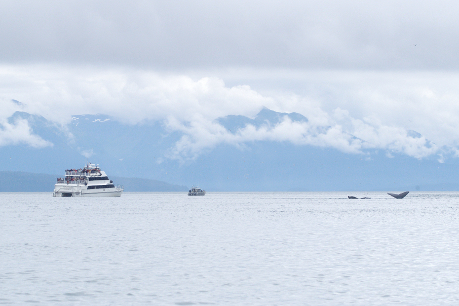 vessels in Sitakaday Narrows, Glacier Bay