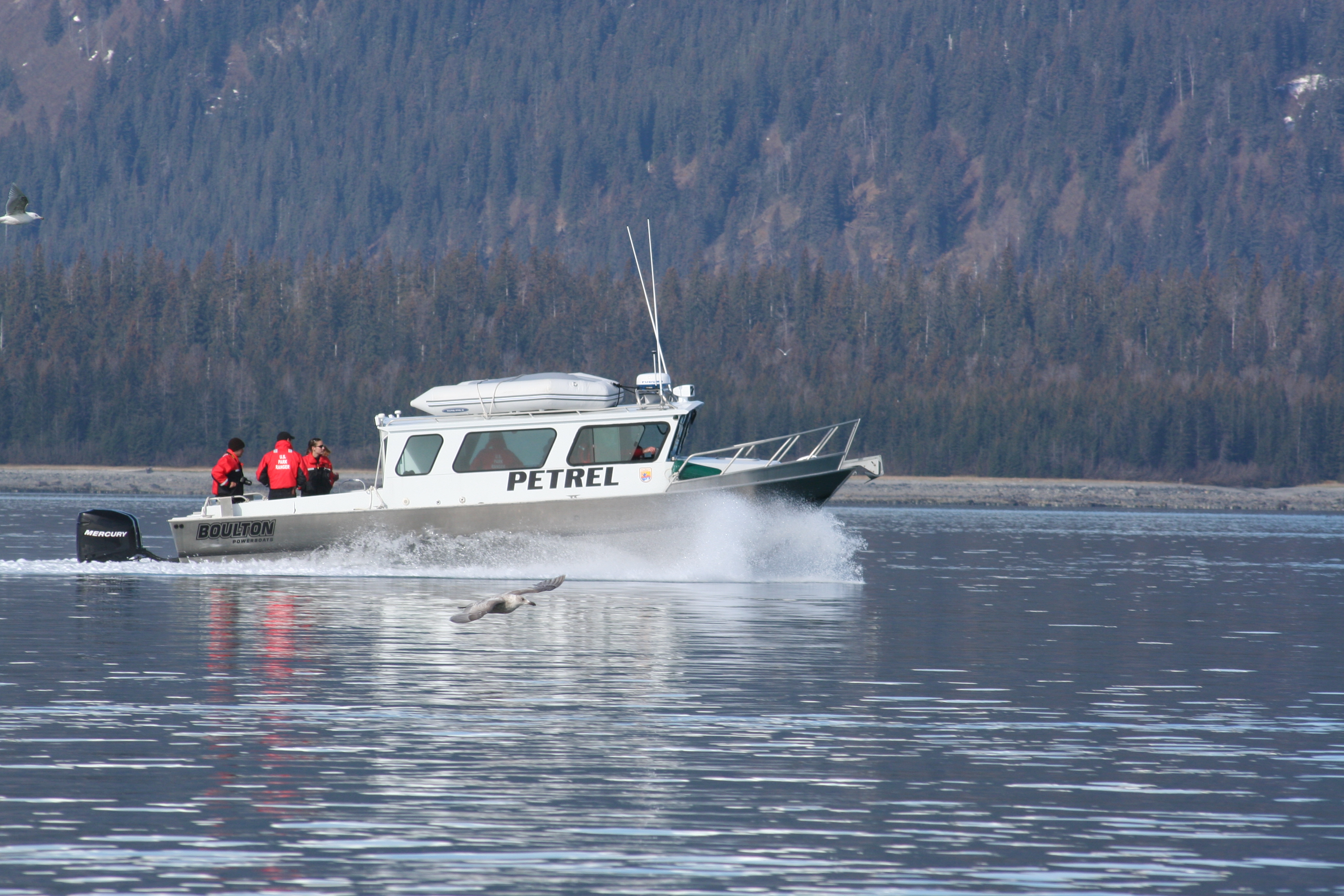 Boat on water with gull