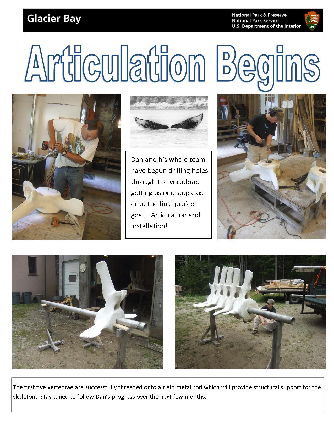 Articulation Photo Collage