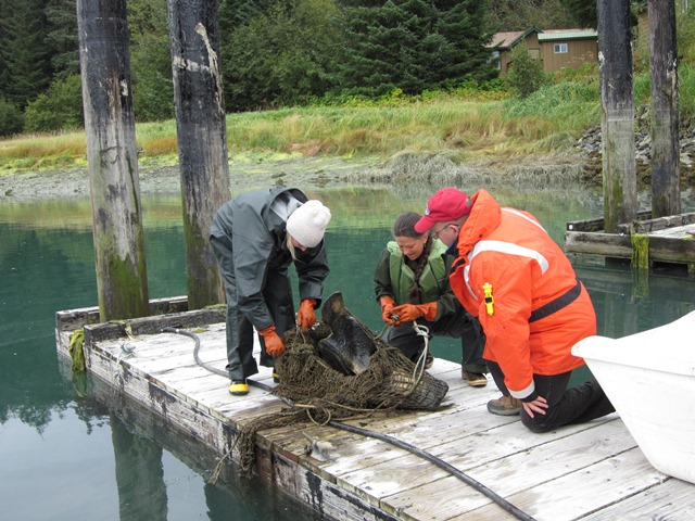 Park staff and local teacher inspecting the bones.