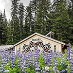 Thumbnail image of the Huna Tribal house and lupine wildlflowers