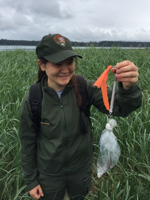 biologist weights a small mammal