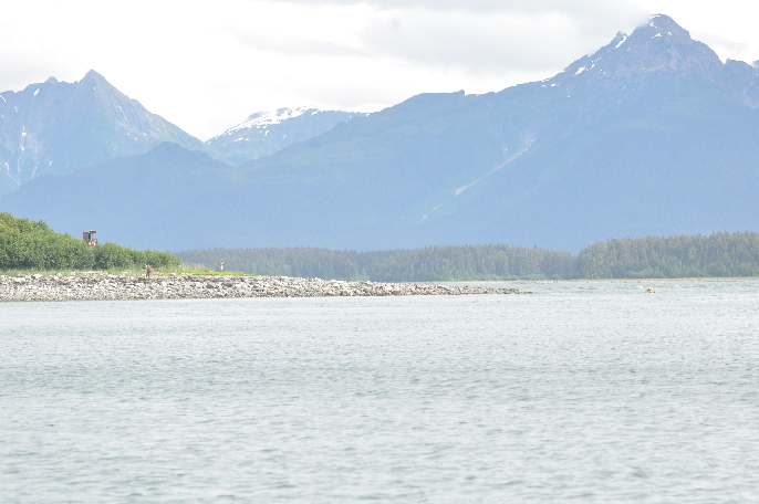 Strawberry Island field observations viewed from offshore.