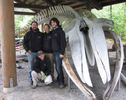 Whales and Nails Team with Snow