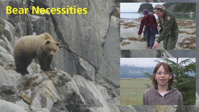 Middle School Scientists Bears Middle School Scientists Bears