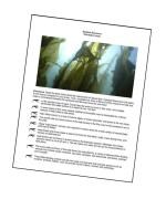 kelp activity 2 handout 1