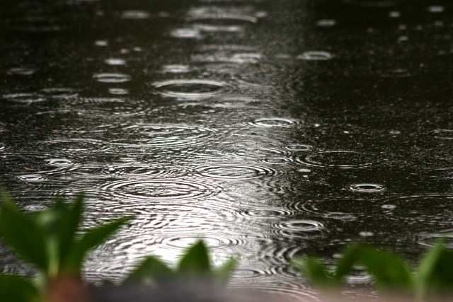 rain drops create ripples on a pond rain drops create ripples on a pond