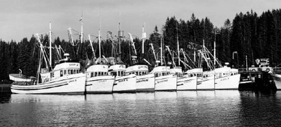 Seiners at the Bartlett Cove dock